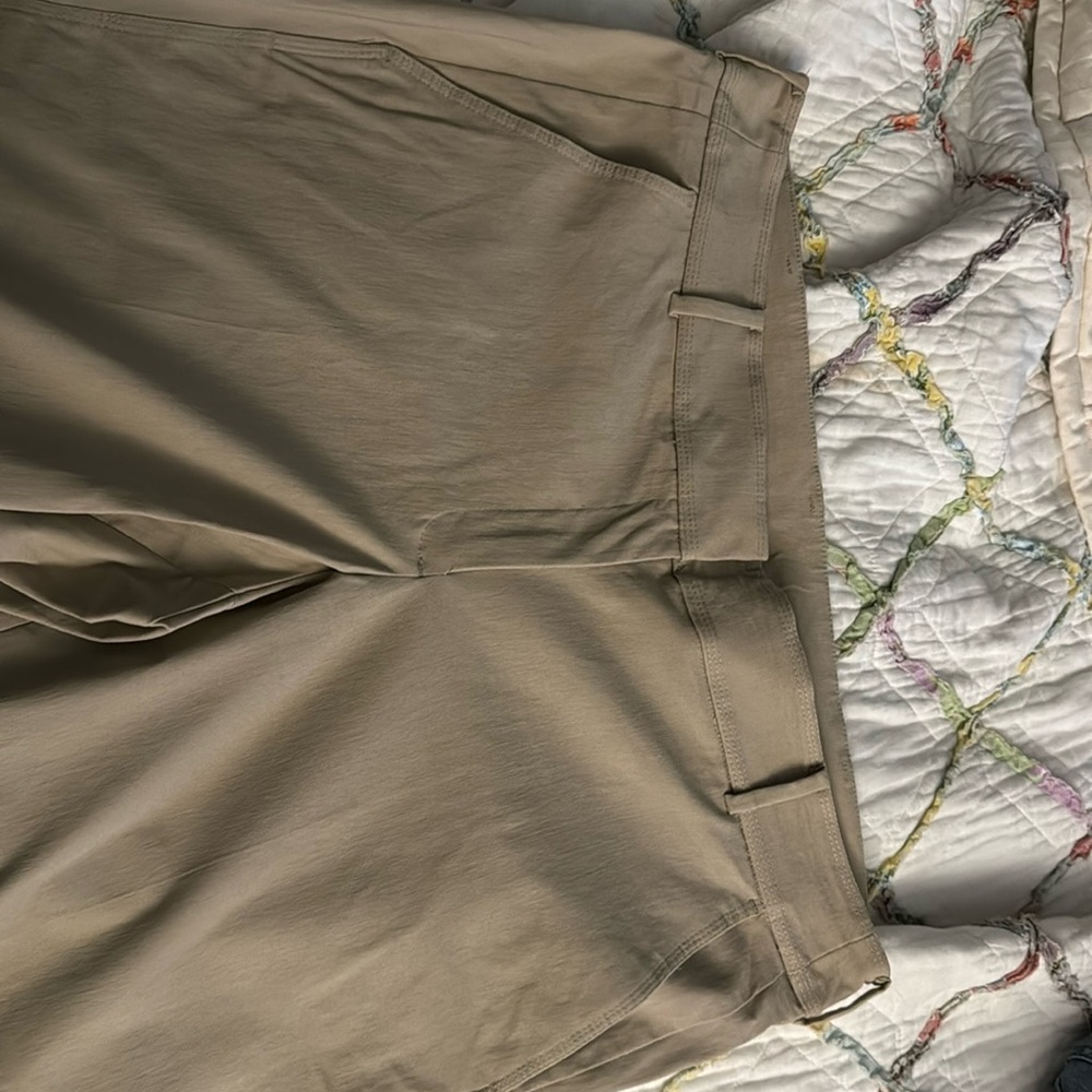 Lane Bryant khakis